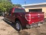 2013 MAROON /GREY Ford F-150 XLT SuperCrew 6.5-ft. Bed 4WD (1FTFW1EF5DF) with an 5.0L V8 engine, 6-Speed Automatic transmission, located at 3304 Woodville Road, Northwood, OH, 43619, (419) 210-8019, 41.612694, -83.480743 - We are #1 Auto Loan Dealer for Good Bad or No Credit we have hundreds of vehicles to choose from, stop on in or just fill out our online application to get approved for auto financing and see your credit score for free by visiting our website today. We have Low Payment Options and Terms Available - Photo#2