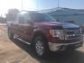 2013 MAROON /GREY Ford F-150 XLT SuperCrew 6.5-ft. Bed 4WD (1FTFW1EF5DF) with an 5.0L V8 engine, 6-Speed Automatic transmission, located at 3304 Woodville Road, Northwood, OH, 43619, (419) 210-8019, 41.612694, -83.480743 - We are #1 Auto Loan Dealer for Good Bad or No Credit we have hundreds of vehicles to choose from, stop on in or just fill out our online application to get approved for auto financing and see your credit score for free by visiting our website today. We have Low Payment Options and Terms Available - Photo#6