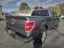 2014 GREY /GREY Ford F-150 FX4 SuperCrew 5.5-ft. Bed 4WD (1FTFW1ET0EF) with an 3.5L V6 TURBO engine, 6-Speed Automatic transmission, located at 3304 Woodville Road, Northwood, OH, 43619, (419) 210-8019, 41.612694, -83.480743 - Your #1 Destination for Auto Loans and mdash;No Matter Your Credit!At our dealership, we cater to everyone and mdash;whether you have good, bad, or no credit. With hundreds of vehicles to choose from, you can easily find the perfect car, truck, or SUV that fits your needs.Get Approved Today!Visit ou - Photo#4