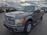 2014 GREY /GREY Ford F-150 FX4 SuperCrew 5.5-ft. Bed 4WD (1FTFW1ET0EF) with an 3.5L V6 TURBO engine, 6-Speed Automatic transmission, located at 3304 Woodville Road, Northwood, OH, 43619, (419) 210-8019, 41.612694, -83.480743 - Your #1 Destination for Auto Loans and mdash;No Matter Your Credit!At our dealership, we cater to everyone and mdash;whether you have good, bad, or no credit. With hundreds of vehicles to choose from, you can easily find the perfect car, truck, or SUV that fits your needs.Get Approved Today!Visit ou - Photo#0