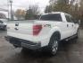 2013 WHITE /GREY Ford F-150 XLT SuperCrew 6.5-ft. Bed 4WD (1FTFW1ET2DK) with an 3.5L V6 TURBO engine, 6-Speed Automatic transmission, located at 3304 Woodville Road, Northwood, OH, 43619, (419) 210-8019, 41.612694, -83.480743 - Your #1 Destination for Auto Loans and mdash;No Matter Your Credit!At our dealership, we believe everyone deserves the opportunity to drive their dream car and mdash;whether you have good credit, bad credit, or no credit at all. With a wide selection of hundreds of cars, trucks, and SUVs, you'll fin - Photo#5