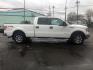 2013 WHITE /GREY Ford F-150 XLT SuperCrew 6.5-ft. Bed 4WD (1FTFW1ET2DK) with an 3.5L V6 TURBO engine, 6-Speed Automatic transmission, located at 3304 Woodville Road, Northwood, OH, 43619, (419) 210-8019, 41.612694, -83.480743 - Your #1 Destination for Auto Loans and mdash;No Matter Your Credit!At our dealership, we believe everyone deserves the opportunity to drive their dream car and mdash;whether you have good credit, bad credit, or no credit at all. With a wide selection of hundreds of cars, trucks, and SUVs, you'll fin - Photo#6