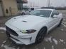 2018 WHITE /BLACK Ford Mustang EcoBoost Coupe (1FA6P8TH4J5) with an 2.3L L4 DOHC 16V engine, Auto 10-Spd SelectShft transmission, located at 3304 Woodville Road, Northwood, OH, 43619, (419) 210-8019, 41.612694, -83.480743 - Your #1 Destination for Auto Loans and mdash;No Matter Your Credit!At our dealership, we believe everyone deserves the opportunity to drive their dream car and mdash;whether you have good credit, bad credit, or no credit at all. With a wide selection of hundreds of cars, trucks, and SUVs, you'll fin - Photo#0