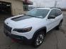 2019 WHITE /BLACK Jeep Cherokee Trailhawk 4WD (1C4PJMBX2KD) with an 3.2L V6 DOHC 24V engine, 9A transmission, located at 3304 Woodville Road, Northwood, OH, 43619, (419) 210-8019, 41.612694, -83.480743 - Your #1 Destination for Auto Loans and mdash;No Matter Your Credit!At our dealership, we believe everyone deserves the opportunity to drive their dream car and mdash;whether you have good credit, bad credit, or no credit at all. With a wide selection of hundreds of cars, trucks, and SUVs, you'll fin - Photo#0