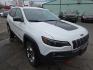 2019 WHITE /BLACK Jeep Cherokee Trailhawk 4WD (1C4PJMBX2KD) with an 3.2L V6 DOHC 24V engine, 9A transmission, located at 3304 Woodville Road, Northwood, OH, 43619, (419) 210-8019, 41.612694, -83.480743 - Your #1 Destination for Auto Loans and mdash;No Matter Your Credit!At our dealership, we believe everyone deserves the opportunity to drive their dream car and mdash;whether you have good credit, bad credit, or no credit at all. With a wide selection of hundreds of cars, trucks, and SUVs, you'll fin - Photo#7